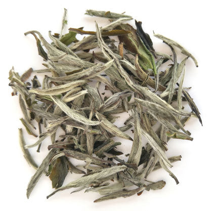 Silver Needle White Tea